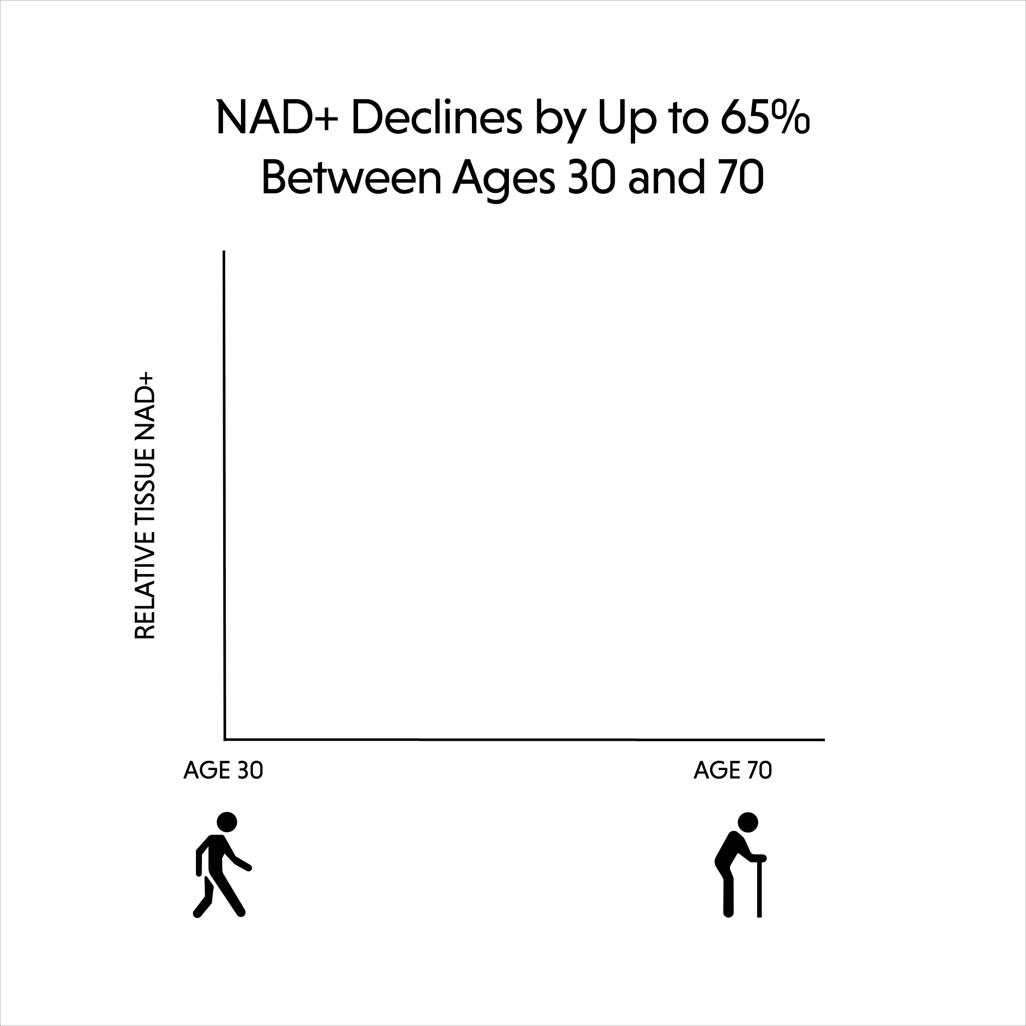 NAD+ Declines by Up to 65% Between Ages 30 and 70